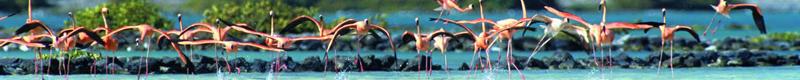 Yucatan Peninsula images